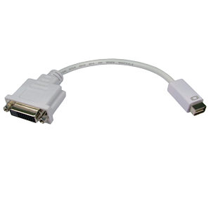 Mini DVI to DVI Adapter Cable