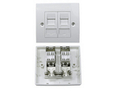 2 Port Cat6a Shielded Loaded Faceplate- Tool-less