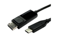 1m USB C to DisplayPort Bi-directional cable